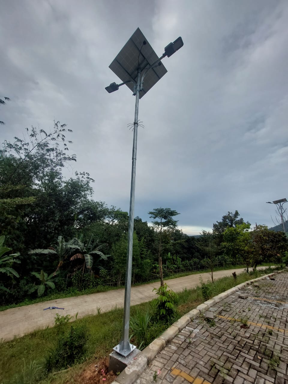 All in Two Solar Street Light DL-XY1 40W Project in Indonesia